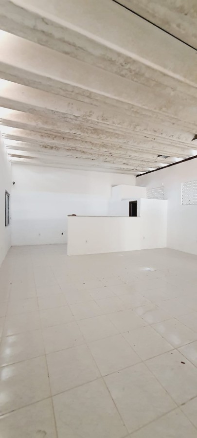 Depósito-Galpão - Foto 15