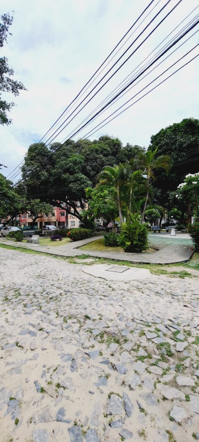 Apartamento, 3 quartos - Foto 20